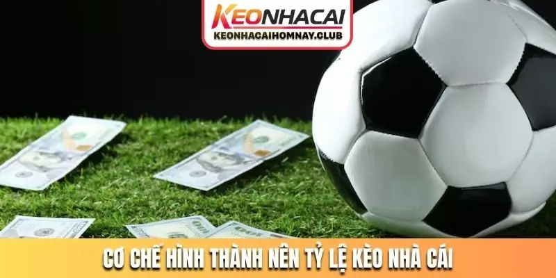 Cơ chế hình thành nên tỷ lệ kèo nhà cái