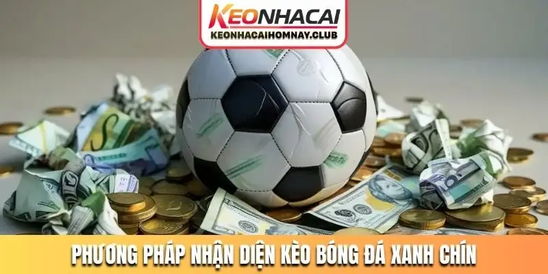 phuong phap nhan dien keo bong da xanh chin Phương pháp nhận diện kèo bóng đá xanh chín