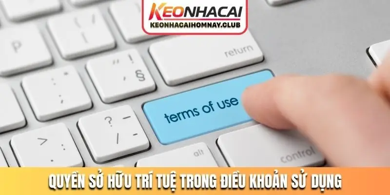 Quyền sở hữu trí tuệ được nêu trong điều khoản sử dụng