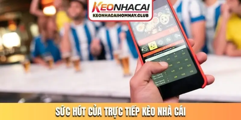 Sức hút của thị trường trực tiếp kèo nhà cái