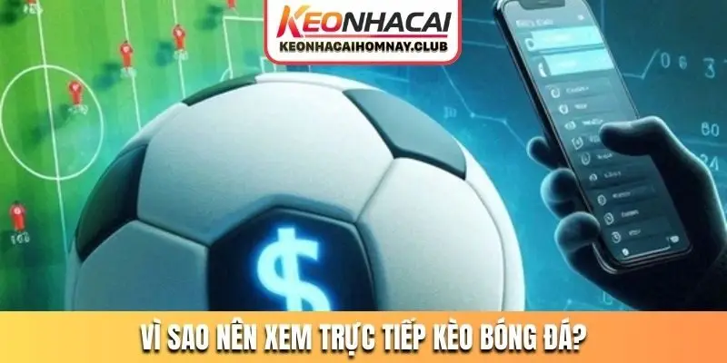 Vì sao nên xem trực tiếp kèo bóng đá?