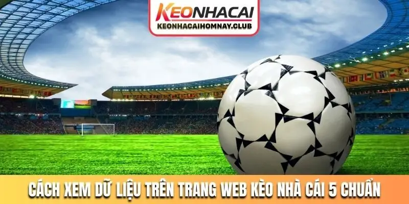 Cách xem dữ liệu trên trang web kèo nhà cái 5 chuẩn