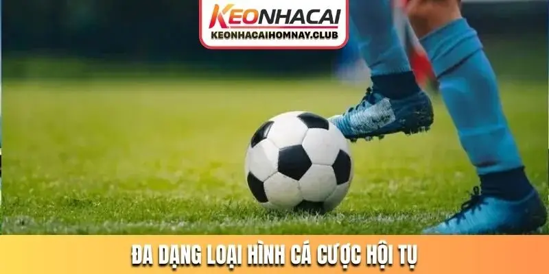 Đa dạng loại hình cá cược hội tụ