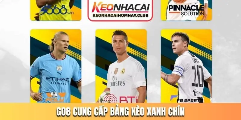 GO8 cung cấp bảng kèo xanh chín