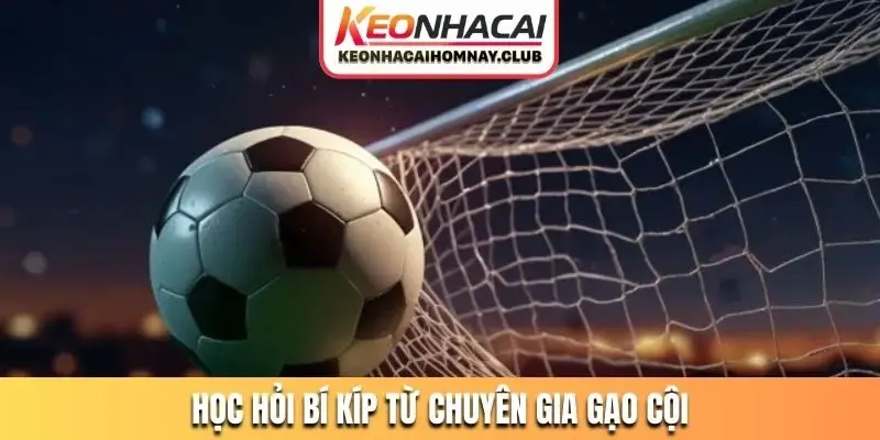 Học hỏi bí kíp từ chuyên gia gạo cội