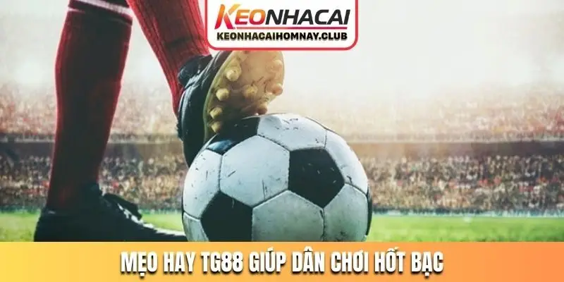 Mẹo hay TG88 giúp dân chơi hốt bạc