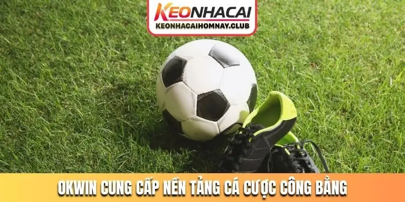 OKWIN cung cấp nền tảng cá cược công bằng