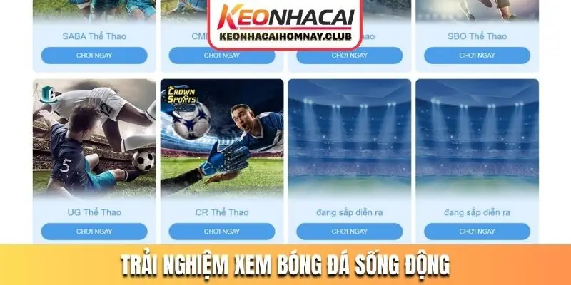 Trải nghiệm xem bóng đá sống động