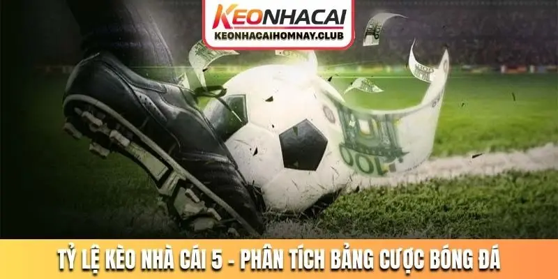 Tỷ lệ kèo nhà cái 5